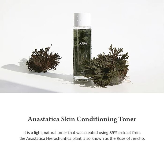 Anastatica Skin Conditioning Toner - 250ml