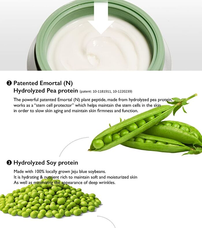 haruharu wonder Centella Phyto & 5 Peptide Concentrate Cream - 30ml