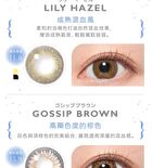 Blue Light Barrier 1 Day Color Lens Mimi Brown 10 pcs - P-0.00 (10 pcs)