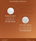 Hyal Kombucha Tea-Tox Cream - 50ml