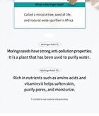 Moringa Tightening Pore Serum - 30ml