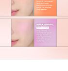 Cheerful Blusher - 5 Colors - #01 Lycheeful