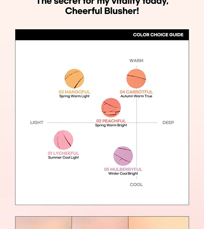 Cheerful Blusher - 5 Colors - #03 Mangoful