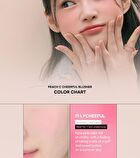 Cheerful Blusher - 5 Colors - #04 Carrotful