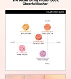 Cheerful Blusher - 5 Colors - #05 Mulberryful