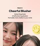 Cheerful Blusher - 5 Colors - #05 Mulberryful
