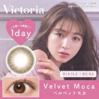 Victoria 1 Day Color Lens Velvet Moca 10 pcs - P-0.00 (10 pcs)