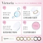 Victoria 1 Day Color Lens Brown 10 pcs - P-2.00 (10 pcs)