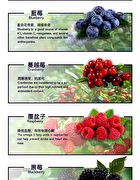 Detox Beauty Drink - 14 pcs