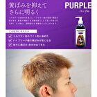 Triple Rainbow Color Shampoo - Silver - 300ml