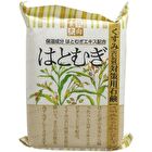 Oriented Hatomugi Soap - 120g