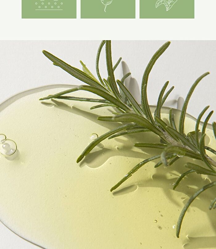 Kaine Rosemary AHA Night Serum - 30ml