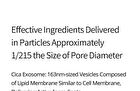 Exosome Repair Ampoule Plus - 40ml