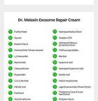 Exosome Repair Ampoule Plus - 40ml