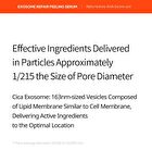 Exosome Repair Toner - 300ml