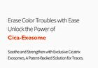 Exosome Repair Toner - 300ml