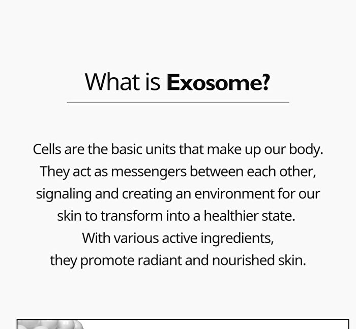 Exosome Repair Toner - 300ml