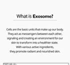 Exosome Repair Toner - 300ml