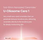 Lipino Anti-Fatty Acid Noncomedo Cream - 50ml