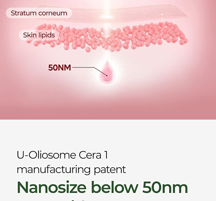 Lipino Anti-Fatty Acid Noncomedo Cream - 50ml