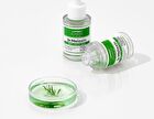 Lipino Anti-Fatty Acid Oil Ampoule - 30ml