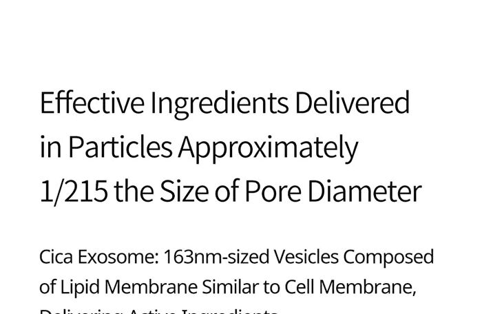Exosome Repair Cream - 50ml