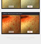 Exosome Repair Cream - 50ml