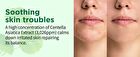 Beaudiani Cica Ampoule Mask - 100 pads
