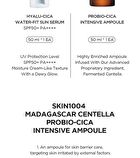 SKIN1004 Madagascar Centella Glow 1004 Duo Set - 2 pcs