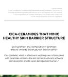 SKIN1004 Madagascar Centella Glow 1004 Duo Set - 2 pcs