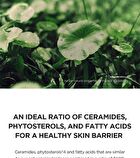 SKIN1004 Madagascar Centella Glow 1004 Duo Set - 2 pcs