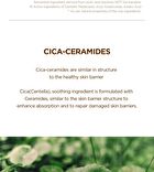 SKIN1004 Madagascar Centella Probio-Cica Bakuchiol Eye Cream Twin Pack Set - 2 pcs