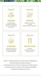 SKIN1004 Madagascar Centella Cream - 75ml