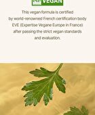 I\'m from Mugwort Sheet Mask Set - 2023 Version - 23ml x 5 sheets
