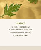 I\'m from Mugwort Sheet Mask Set - 2023 Version - 23ml x 5 sheets