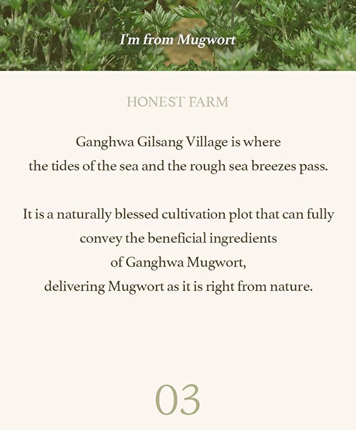 I\'m from Mugwort Sheet Mask Set - 2023 Version - 23ml x 5 sheets