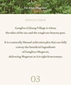 I\'m from Mugwort Sheet Mask Set - 2023 Version - 23ml x 5 sheets