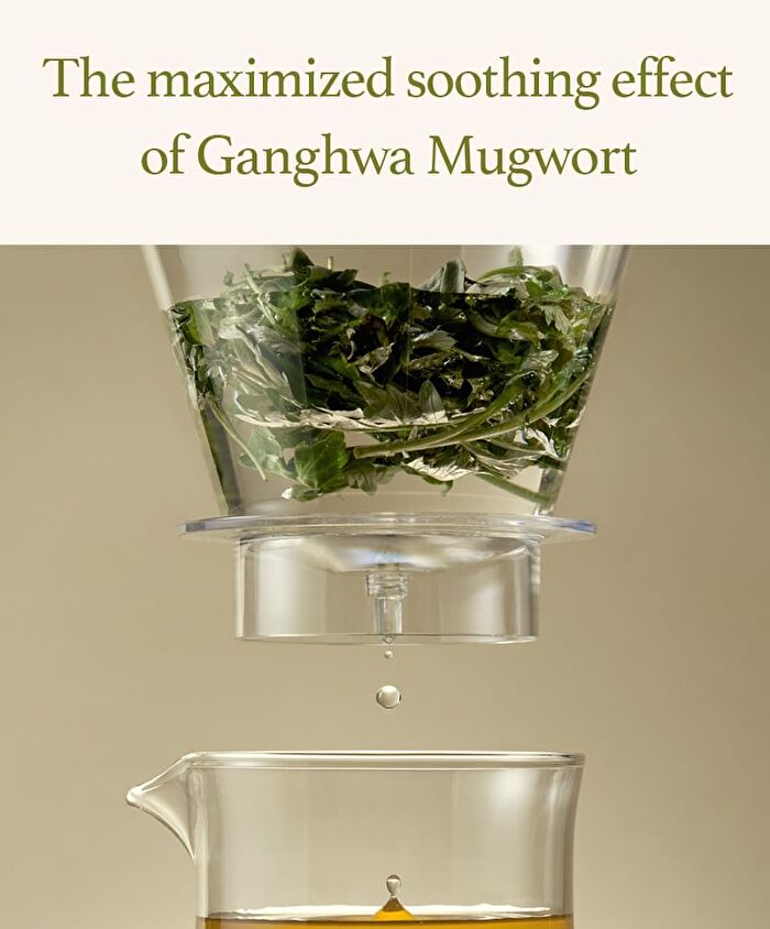 I\'m from Mugwort Sheet Mask Set - 2023 Version - 23ml x 5 sheets