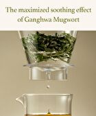 I\'m from Mugwort Sheet Mask Set - 2023 Version - 23ml x 5 sheets