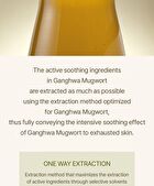 I\'m from Mugwort Sheet Mask Set - 2023 Version - 23ml x 5 sheets
