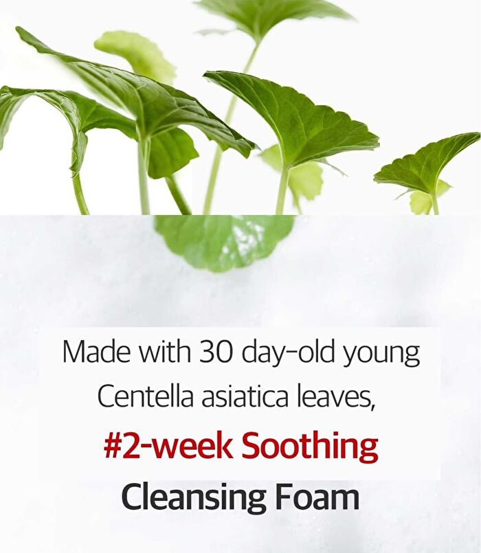 Dermafirm CICAA.C Cleansing Foam - 150g
