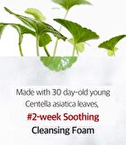 Dermafirm CICAA.C Cleansing Foam - 150g
