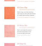 Baked Blush - 9 Colors - #04 Tulip On