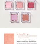 Baked Blush - 9 Colors - #07 Pale Lilac