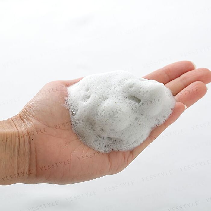 Bio C.H.P Wash & Shampoo - 80g + Foaming Net