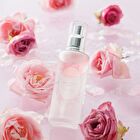 Botanical Organic Rose Beauty Serum - 100ml