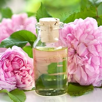Botanical Organic Rose Moisturizer - 20ml