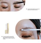 Entropy Tough Brow Lift Perm Set - 3 pcs