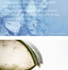 Hyaluronic Cleansing Water - 2023 Version - 600ml