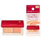 Integrate Melty Fit Concealer - 4g